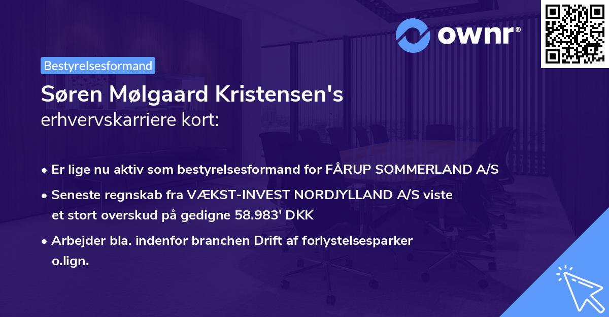 Søren Mølgaard Kristensen's erhvervskarriere kort