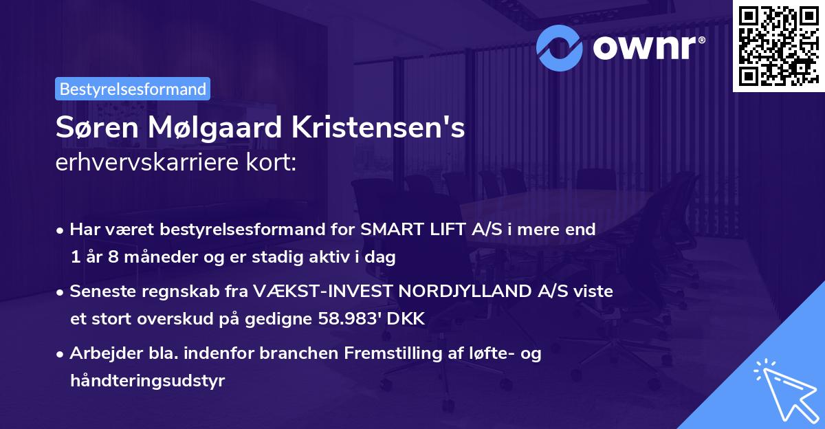Søren Mølgaard Kristensen's erhvervskarriere kort