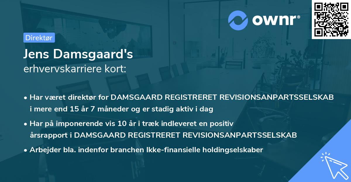 Jens Damsgaard's erhvervskarriere kort