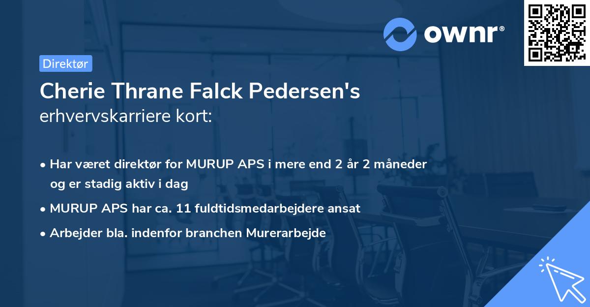 Cherie Thrane Falck Pedersen's erhvervskarriere kort