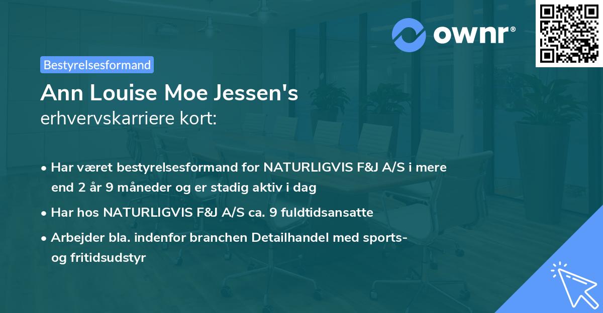 Ann Louise Moe Jessen's erhvervskarriere kort