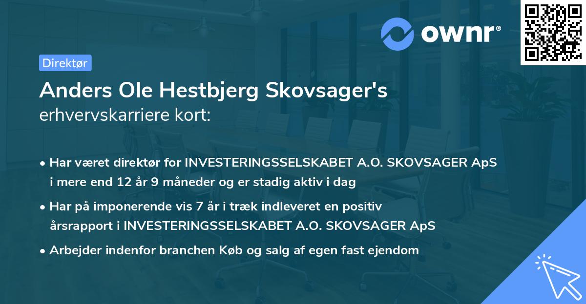 Anders Ole Hestbjerg Skovsager's erhvervskarriere kort