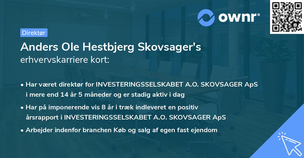 Anders Ole Hestbjerg Skovsager's erhvervskarriere kort