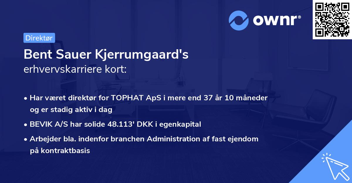 Bent Sauer Kjerrumgaard's erhvervskarriere kort