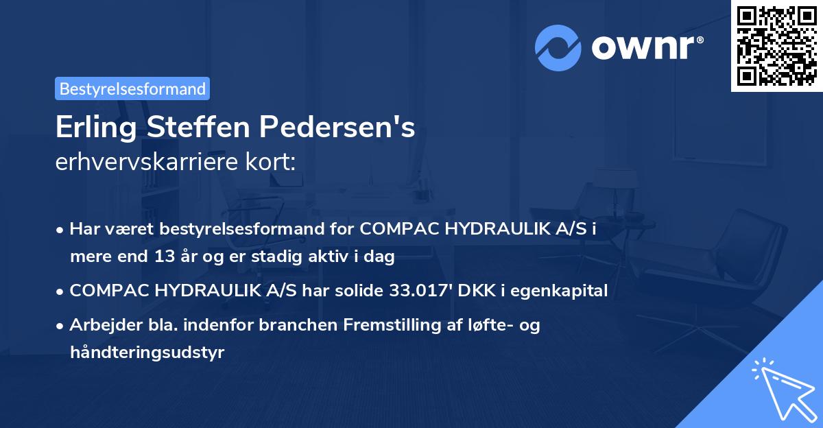 Erling Steffen Pedersen's erhvervskarriere kort
