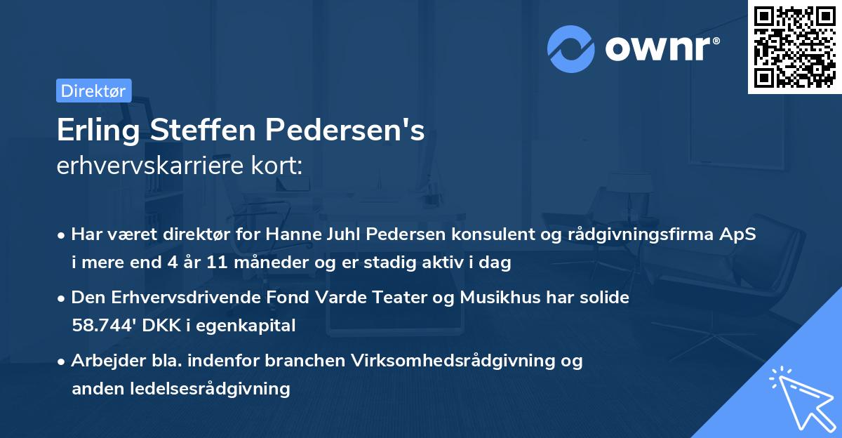 Erling Steffen Pedersen's erhvervskarriere kort
