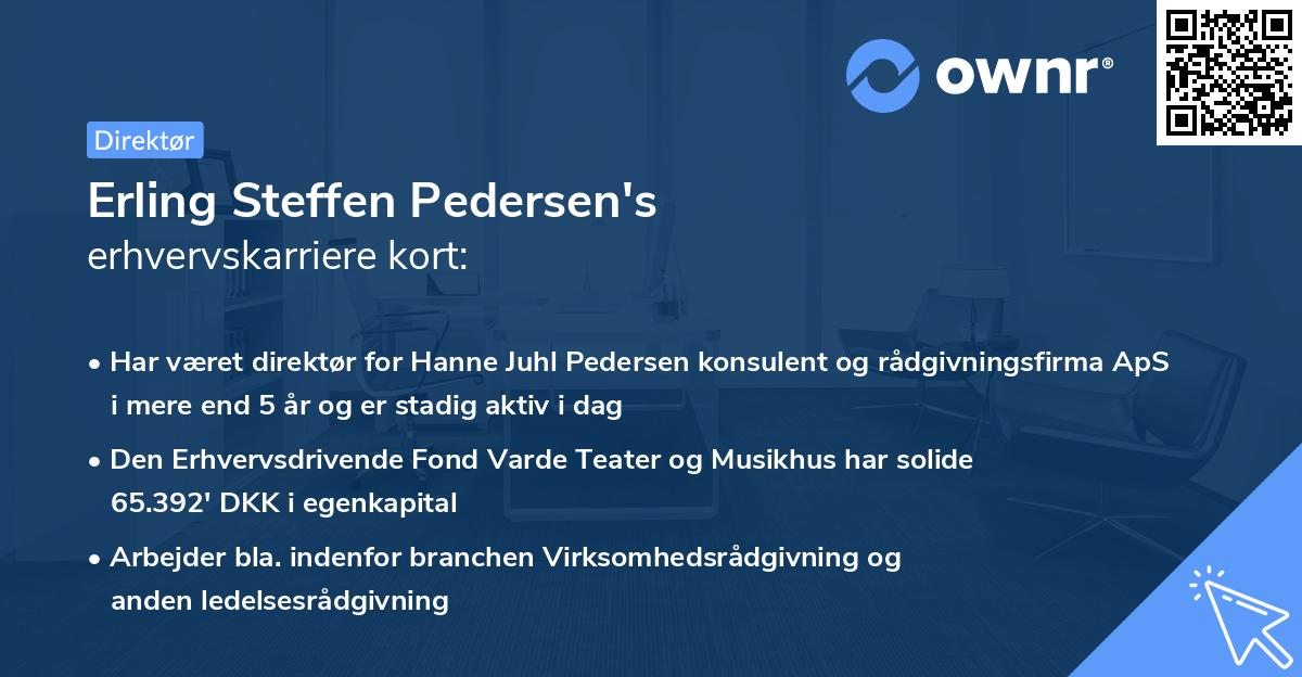 Erling Steffen Pedersen's erhvervskarriere kort
