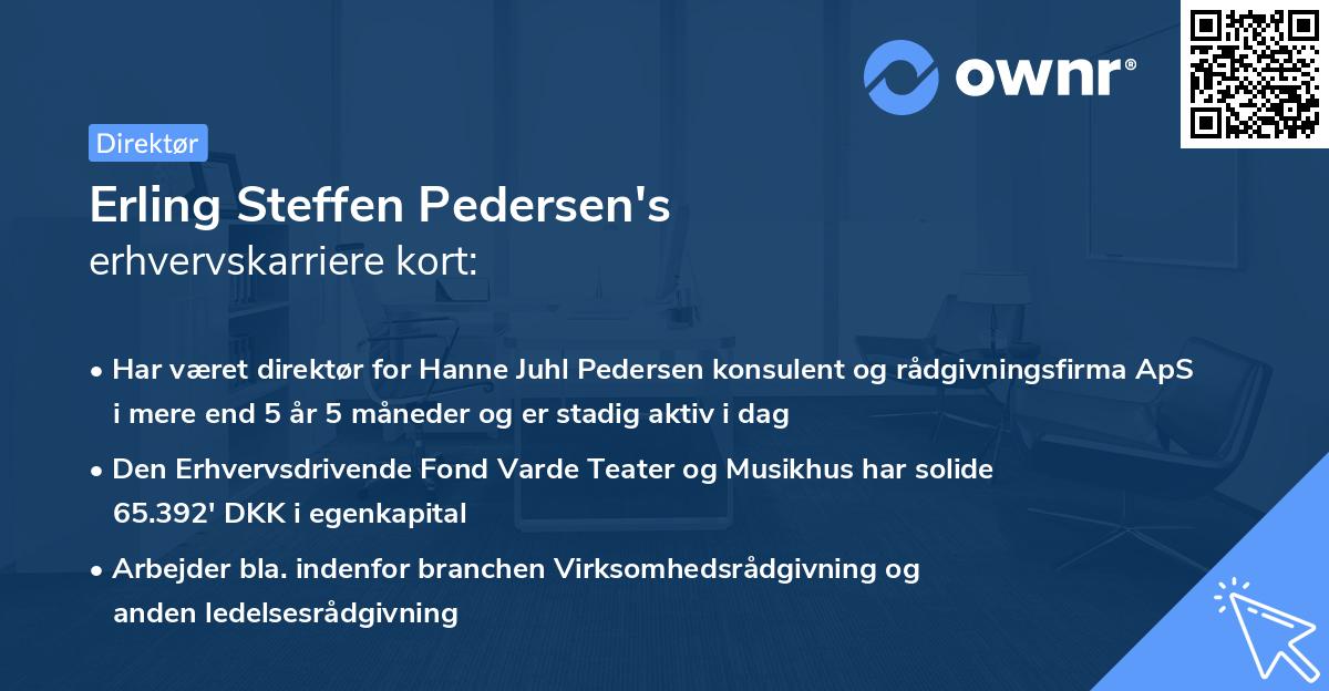 Erling Steffen Pedersen's erhvervskarriere kort