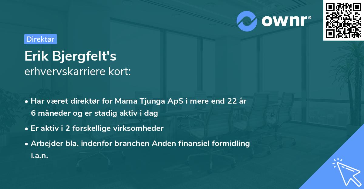 Erik Bjergfelt's erhvervskarriere kort