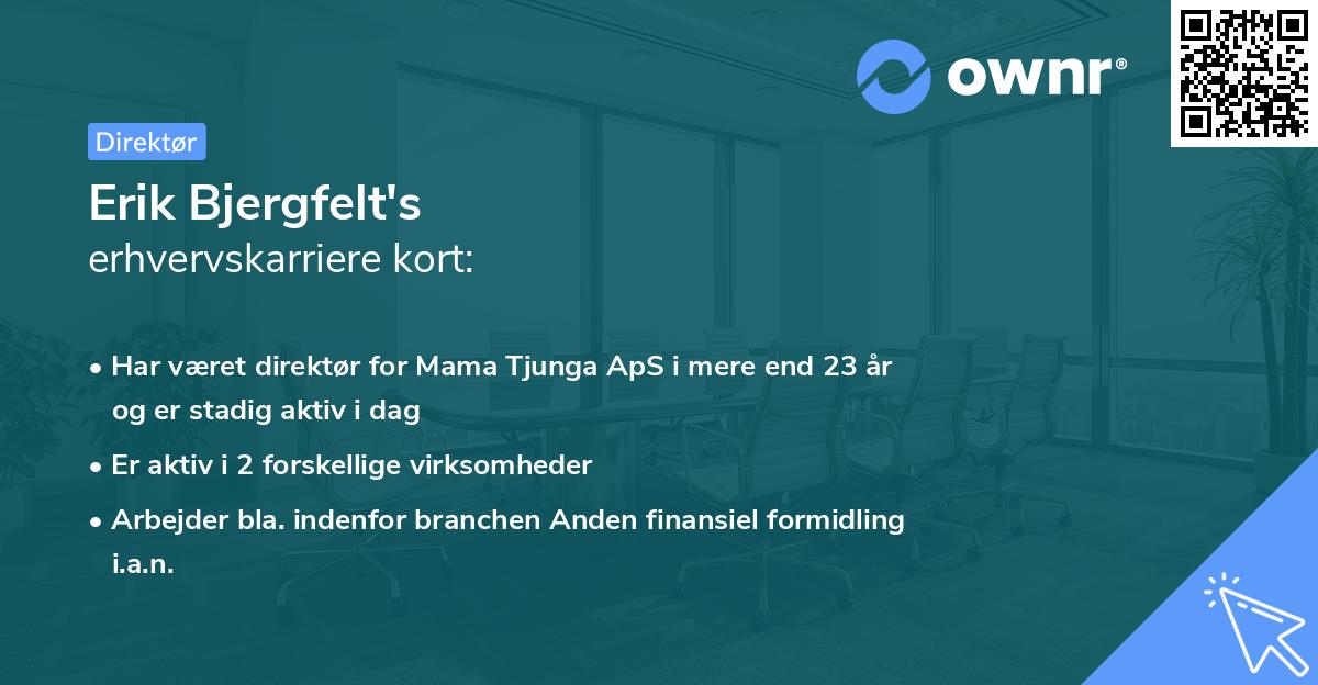 Erik Bjergfelt's erhvervskarriere kort