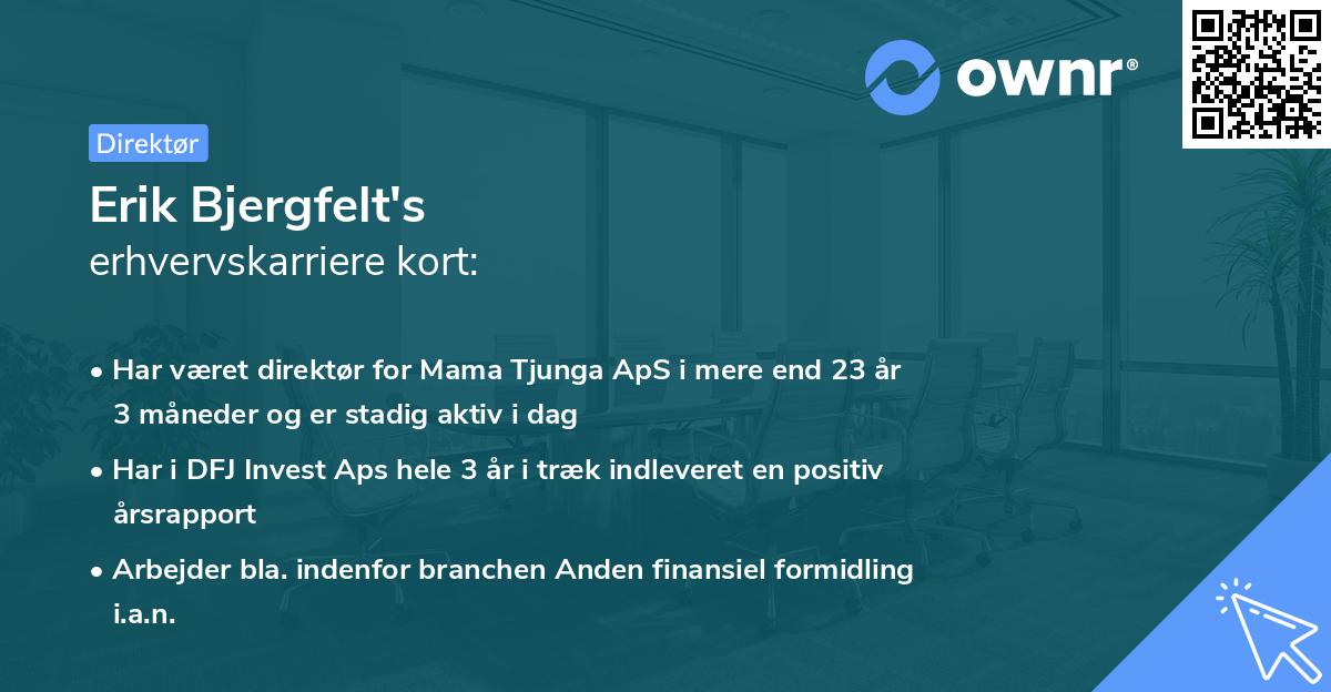 Erik Bjergfelt's erhvervskarriere kort
