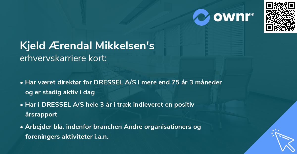 Kjeld Ærendal Mikkelsen's erhvervskarriere kort