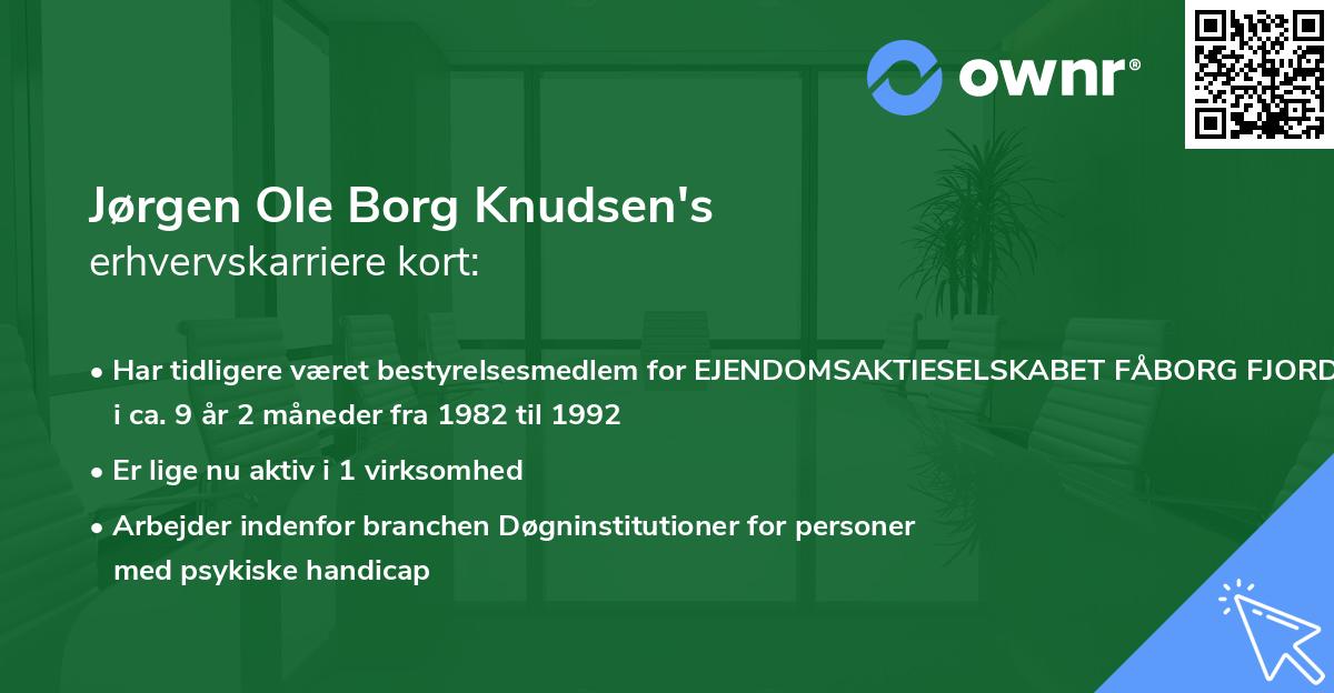 Jørgen Ole Borg Knudsen's erhvervskarriere kort