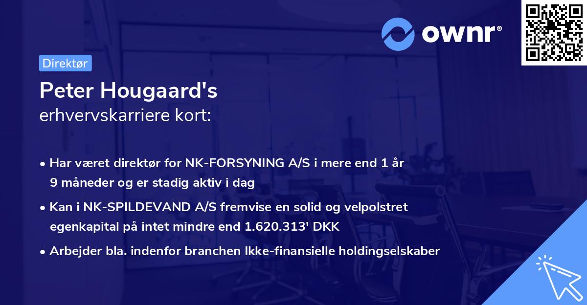 Peter Hougaard's erhvervskarriere kort