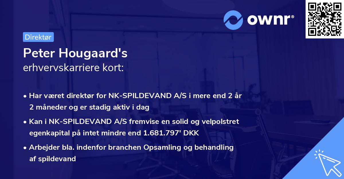 Peter Hougaard's erhvervskarriere kort