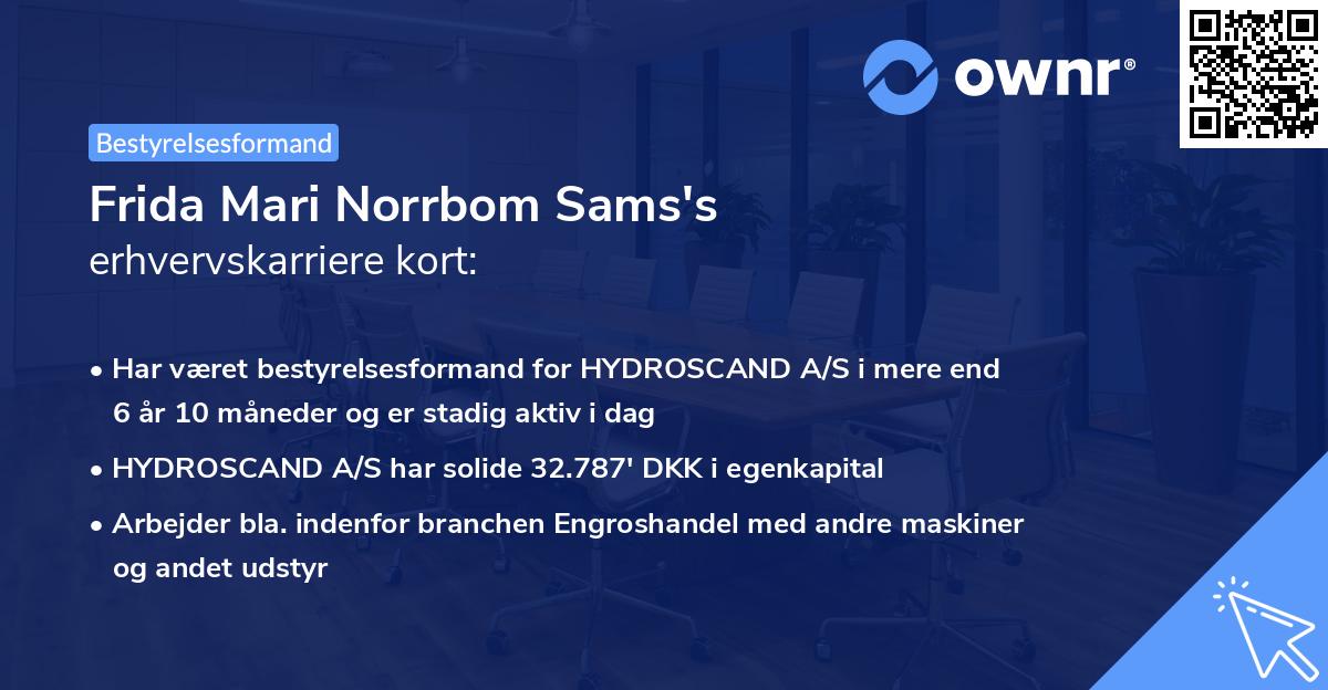 Frida Mari Norrbom Sams's erhvervskarriere kort