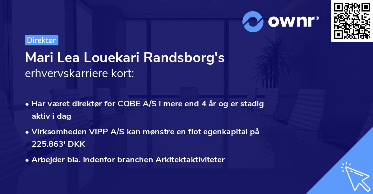 Mari Lea Louekari Randsborg's erhvervskarriere kort