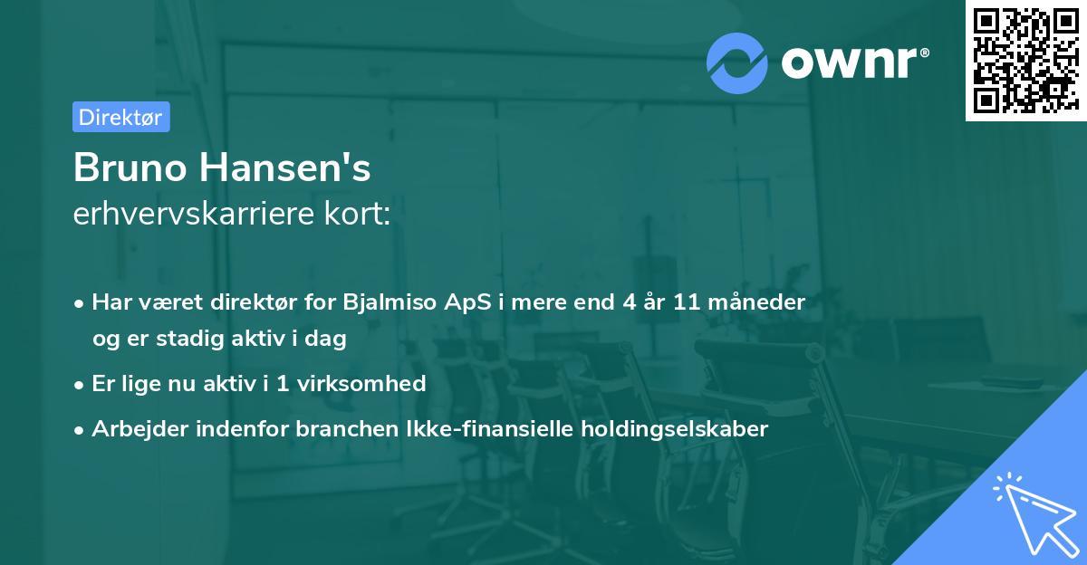 Bruno Hansen's erhvervskarriere kort