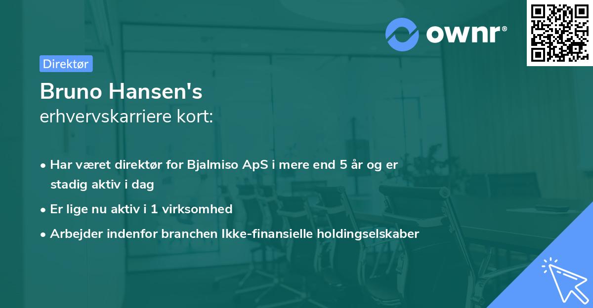 Bruno Hansen's erhvervskarriere kort