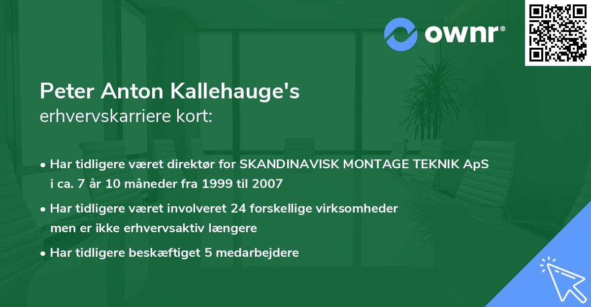 Peter Anton Kallehauge's erhvervskarriere kort