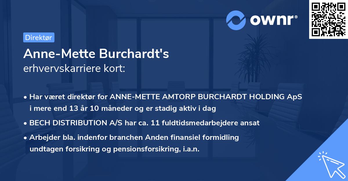 Anne-Mette Burchardt's erhvervskarriere kort