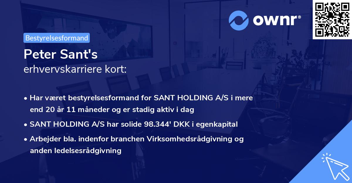 Peter Sant's erhvervskarriere kort