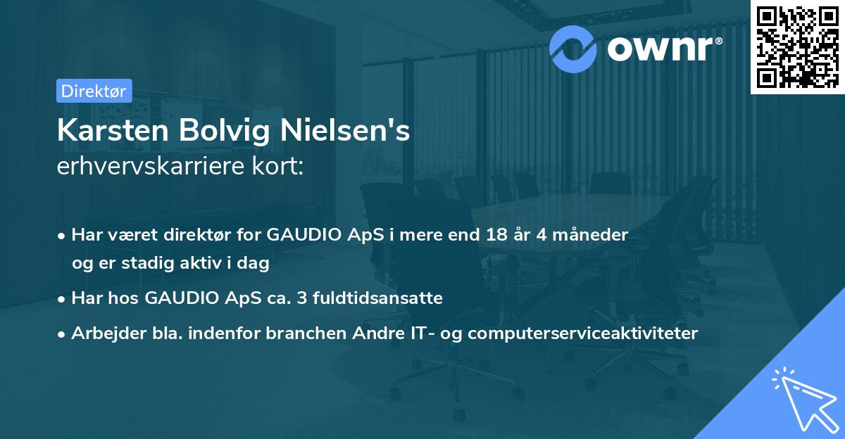 Karsten Bolvig Nielsen's erhvervskarriere kort