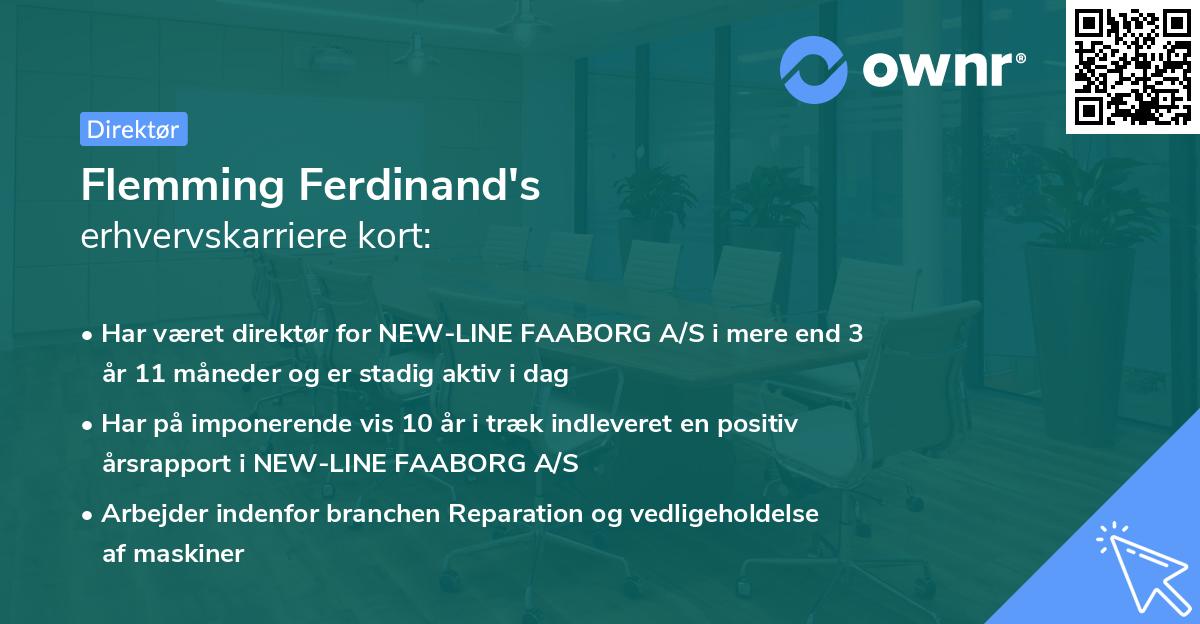 Flemming Ferdinand's erhvervskarriere kort