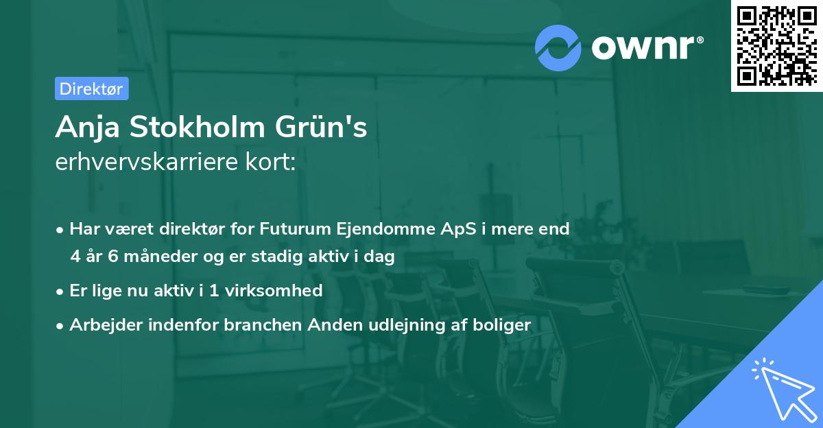 Anja Stokholm Grün's erhvervskarriere kort