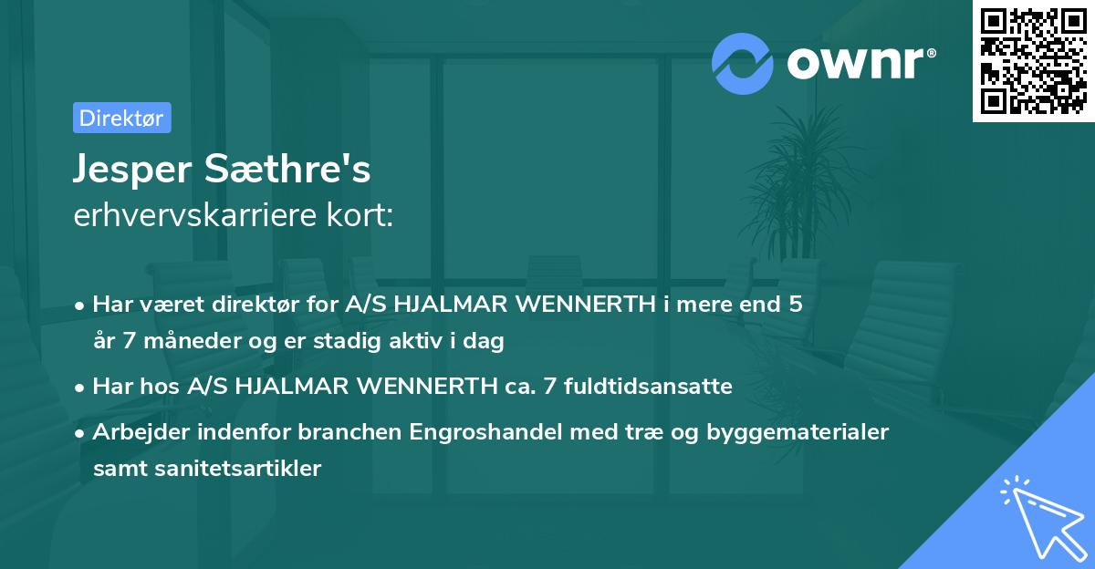 Jesper Sæthre's erhvervskarriere kort