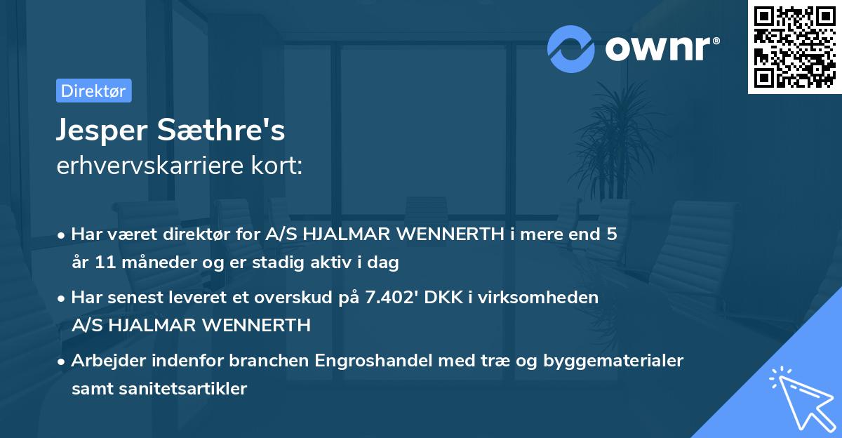 Jesper Sæthre's erhvervskarriere kort