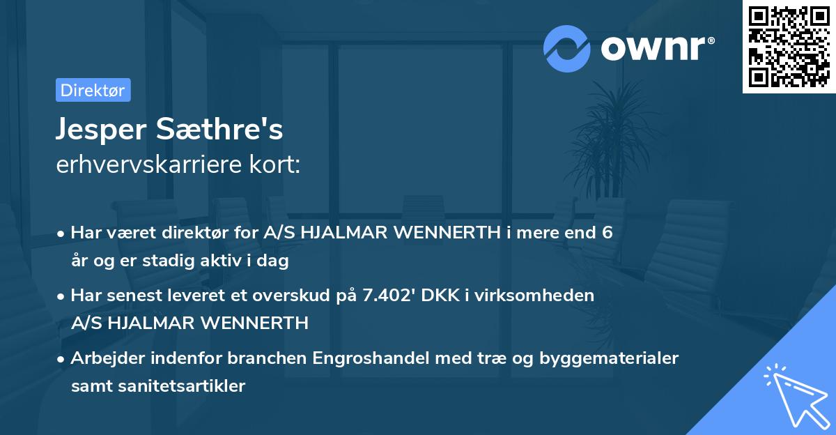 Jesper Sæthre's erhvervskarriere kort
