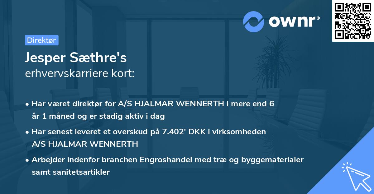 Jesper Sæthre's erhvervskarriere kort