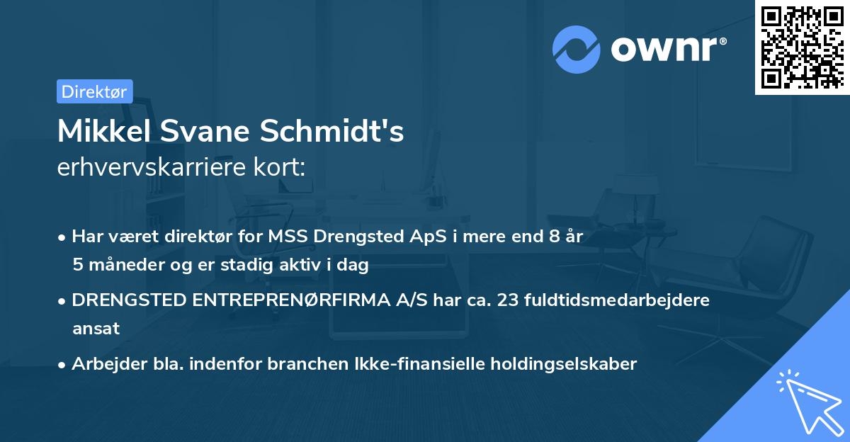 Mikkel Svane Schmidt's erhvervskarriere kort