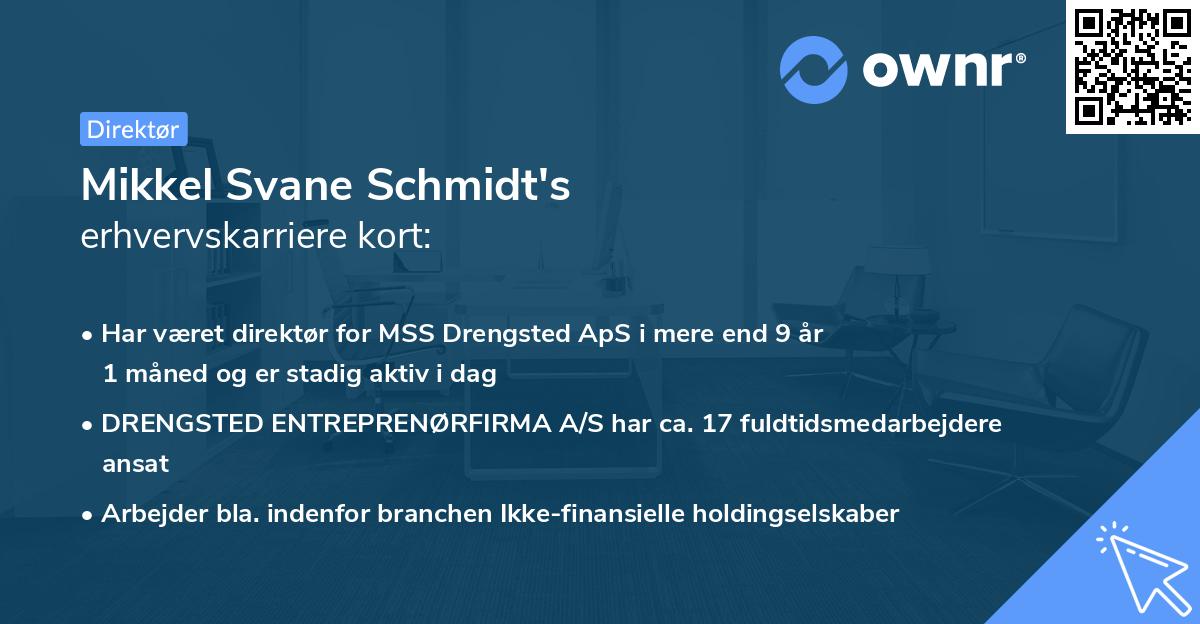 Mikkel Svane Schmidt's erhvervskarriere kort