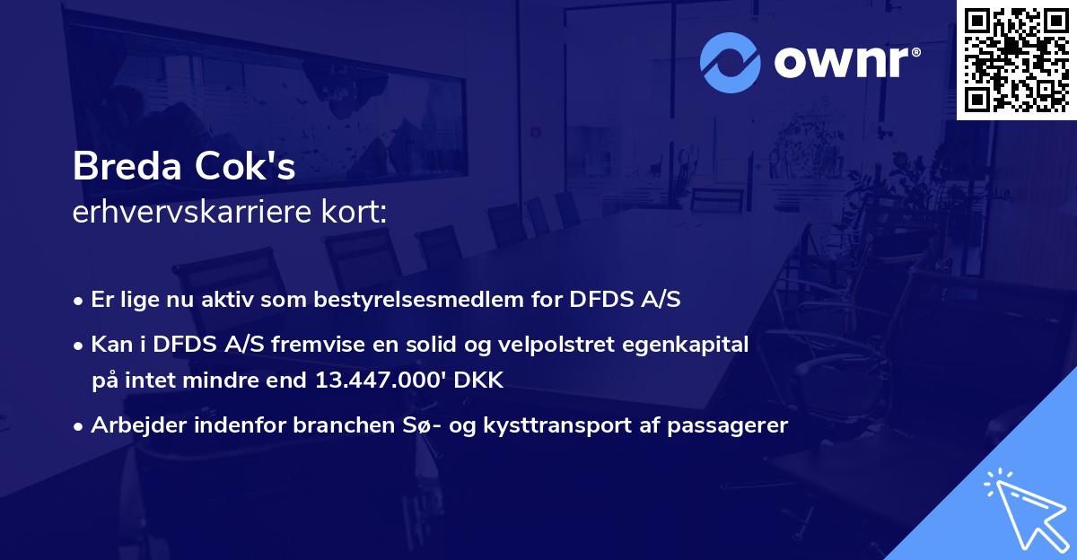Breda Cok's erhvervskarriere kort