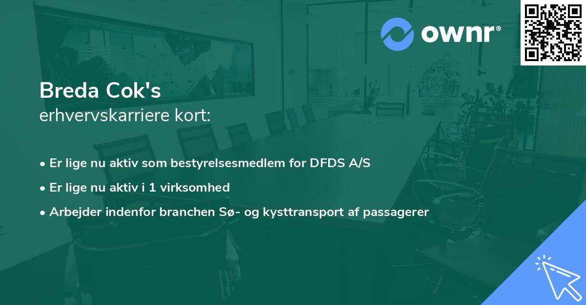 Breda Cok's erhvervskarriere kort