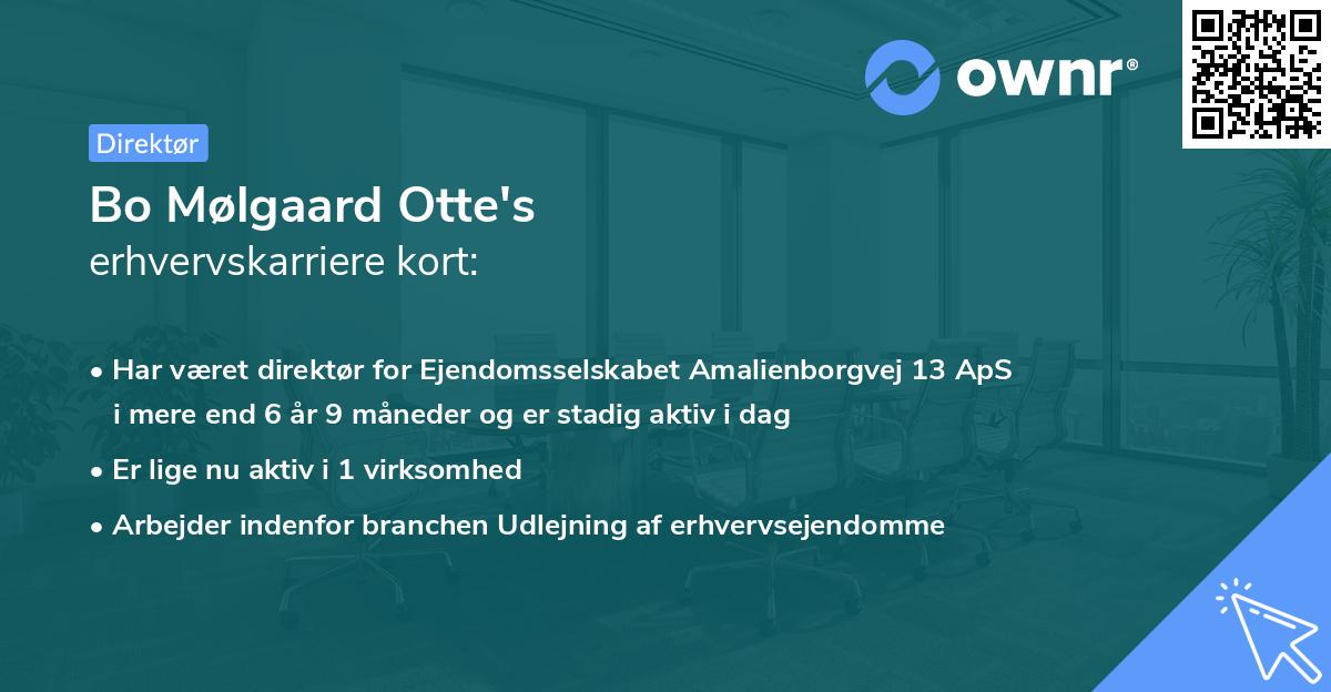 Bo Mølgaard Otte's erhvervskarriere kort