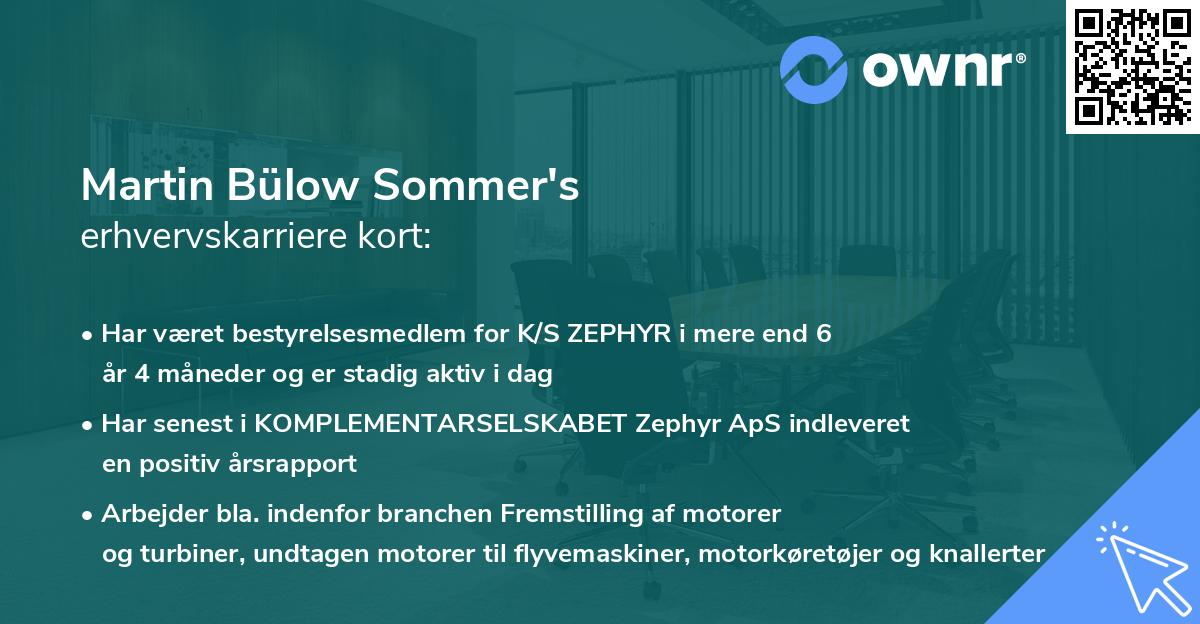 Martin Bülow Sommer's erhvervskarriere kort