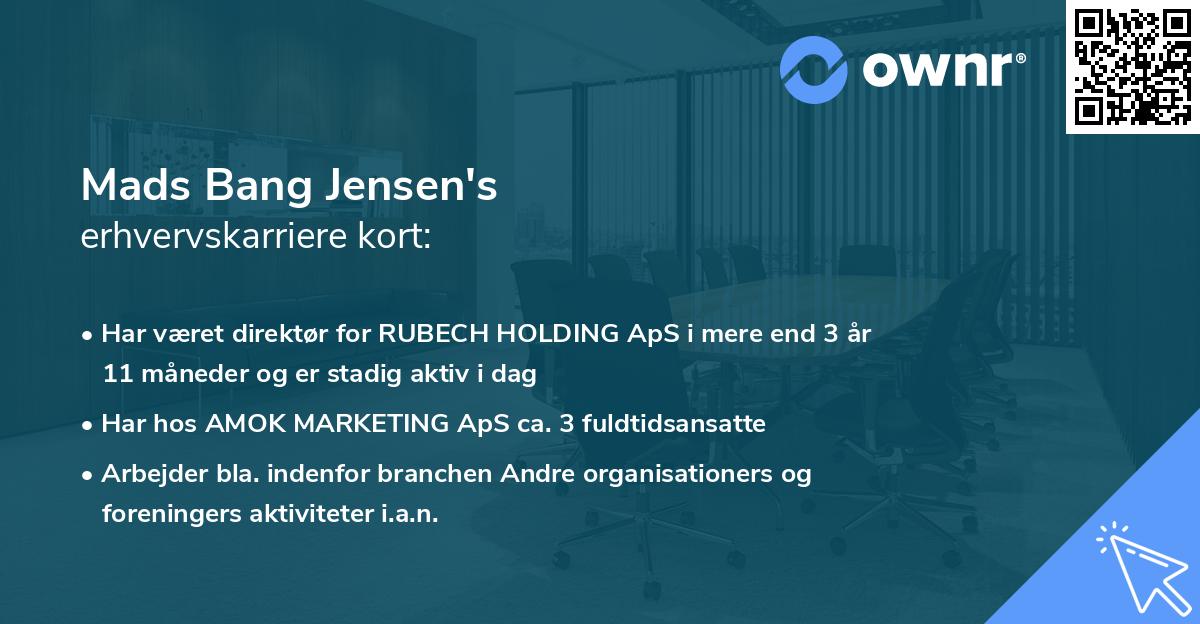 Mads Bang Jensen's erhvervskarriere kort