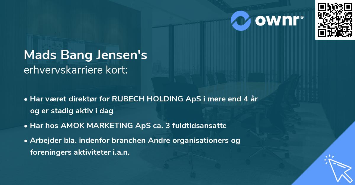 Mads Bang Jensen's erhvervskarriere kort