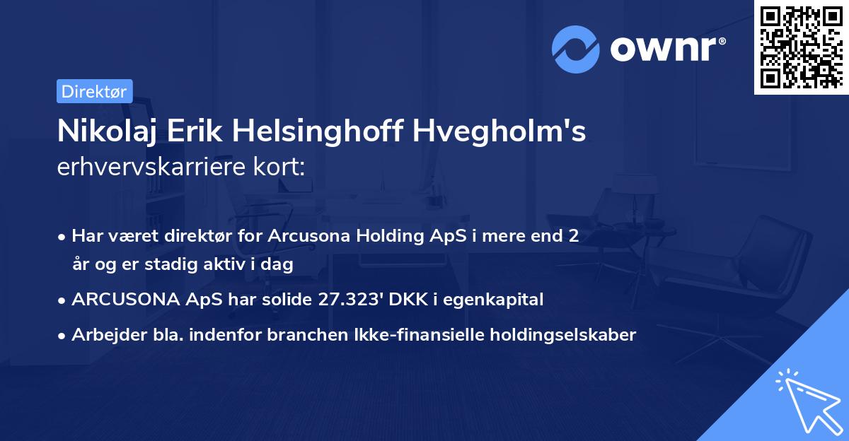Nikolaj Erik Helsinghoff Hvegholm's erhvervskarriere kort