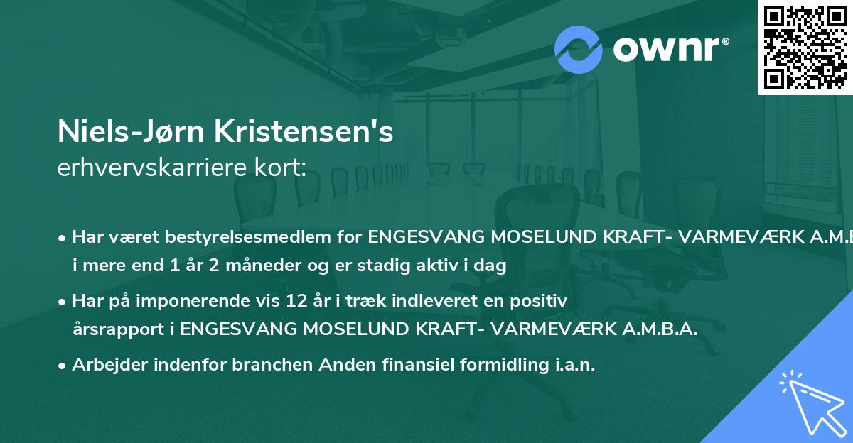 Niels-Jørn Kristensen's erhvervskarriere kort