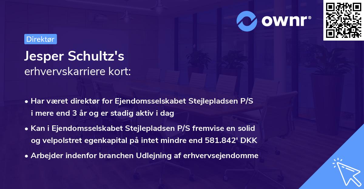 Jesper Schultz's erhvervskarriere kort