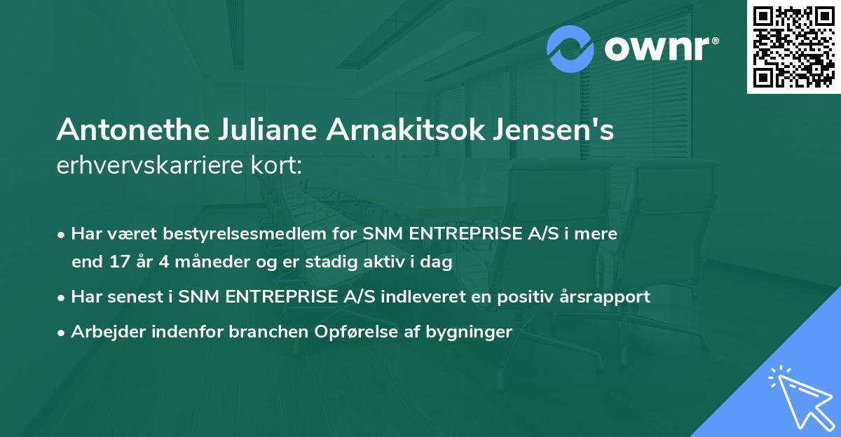 Antonethe Juliane Arnakitsok Jensen's erhvervskarriere kort