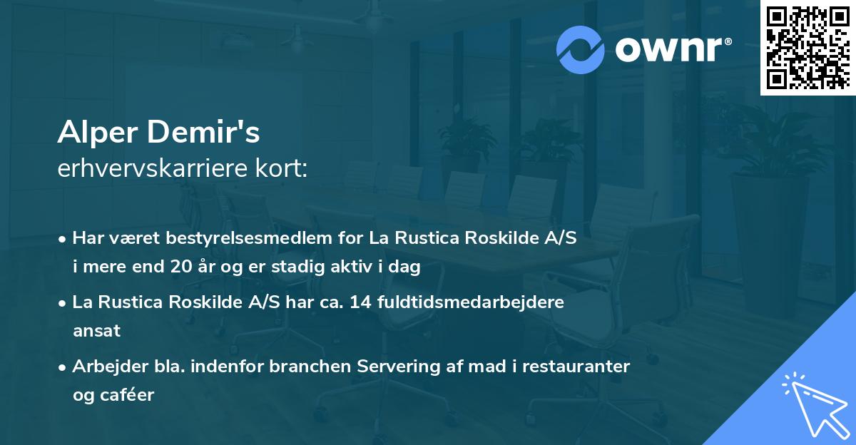 Alper Demir's erhvervskarriere kort