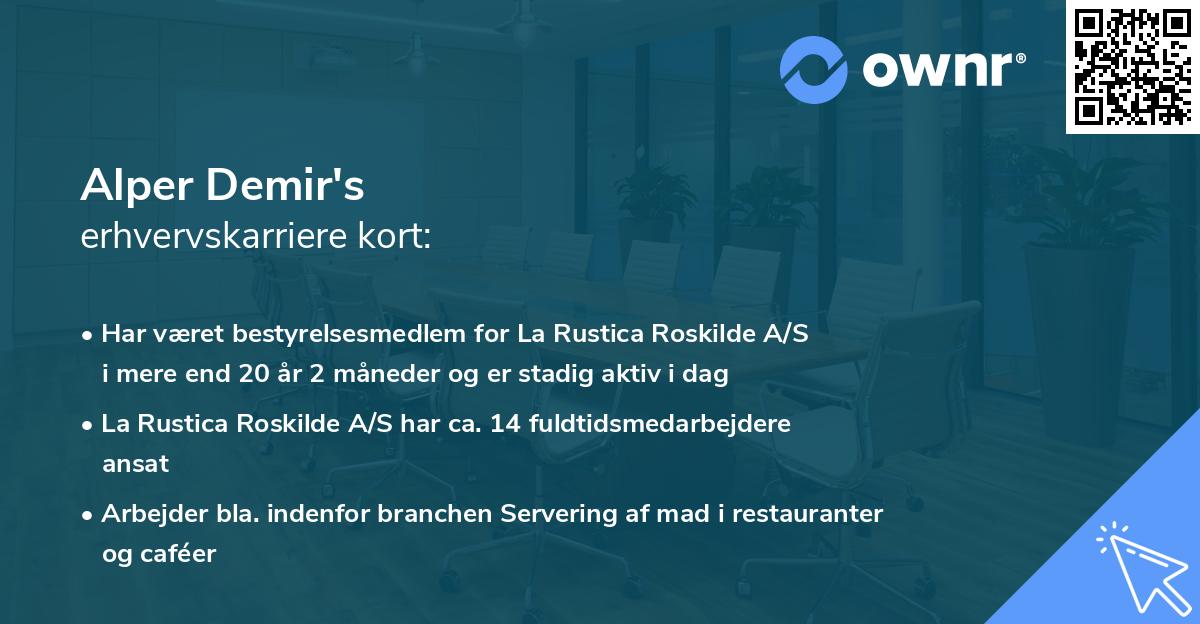 Alper Demir's erhvervskarriere kort