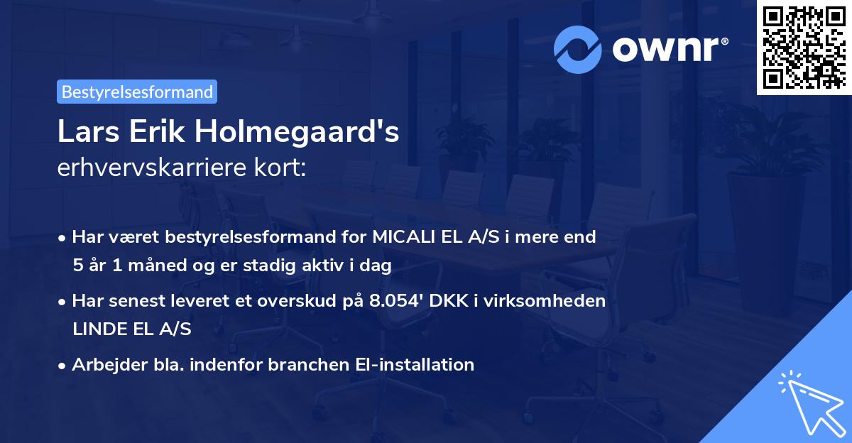 Lars Erik Holmegaard's erhvervskarriere kort