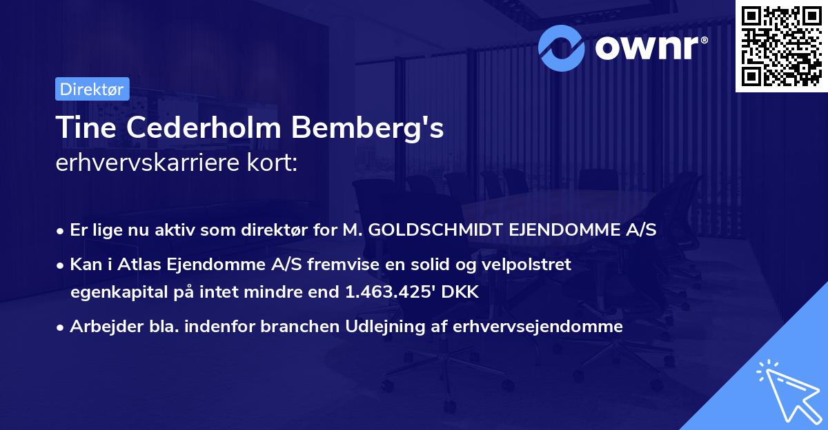 Tine Cederholm Bemberg's erhvervskarriere kort