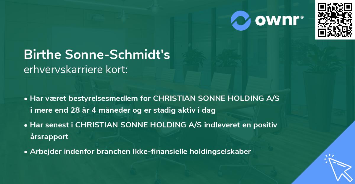 Birthe Sonne-Schmidt's erhvervskarriere kort